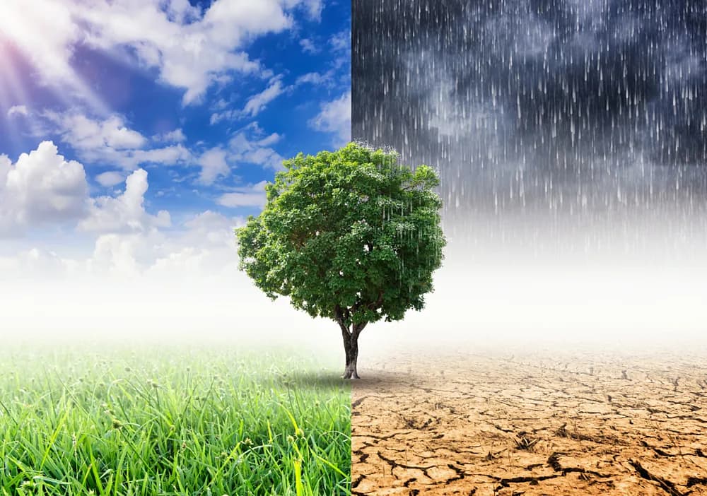 Smooth HVAC Seasonal Transitions for US & Canadian Buildings with Prolon Controls